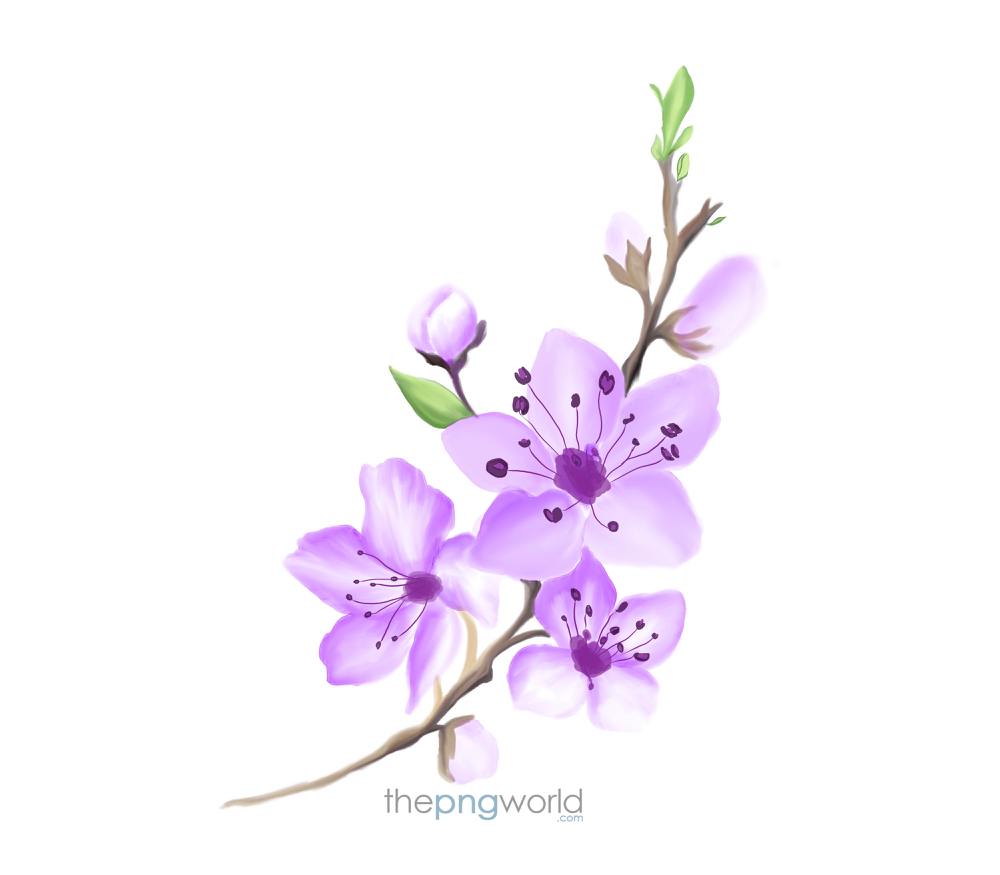 Beautiful Purple Flower Flower,leaves,peace,vase,painting,drawing,purple,green,white,peace,love,devotion,pink